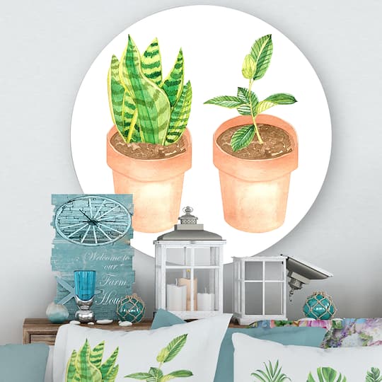 Designart - Sansevieria & Ficus Indoor Green Home House Plants